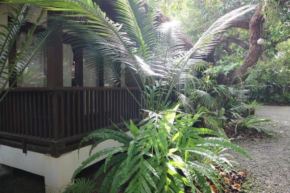 Blue Bayou Bungalows Balabag  Exteriör bild